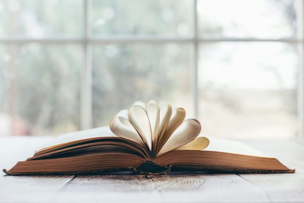 5 façons dont le storytelling transforme la prise de décision avec les données